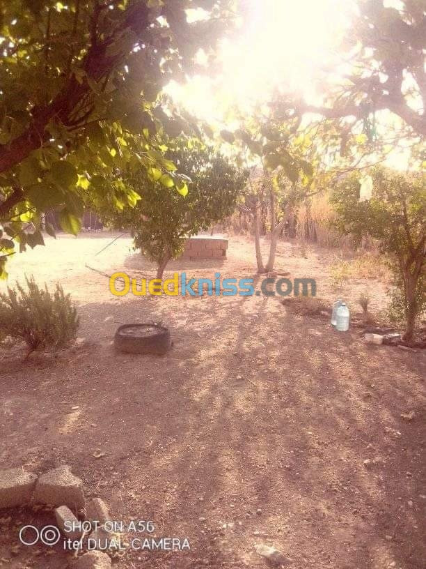 Vente Niveau De Villa F3 Tebessa Boulhaf dir