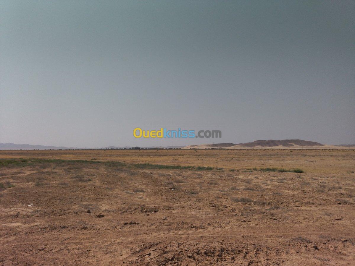 Vente Terrain Biskra Tolga