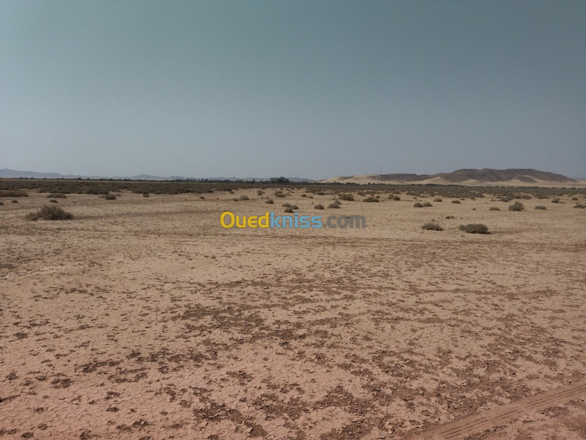 Vente Terrain Biskra Tolga