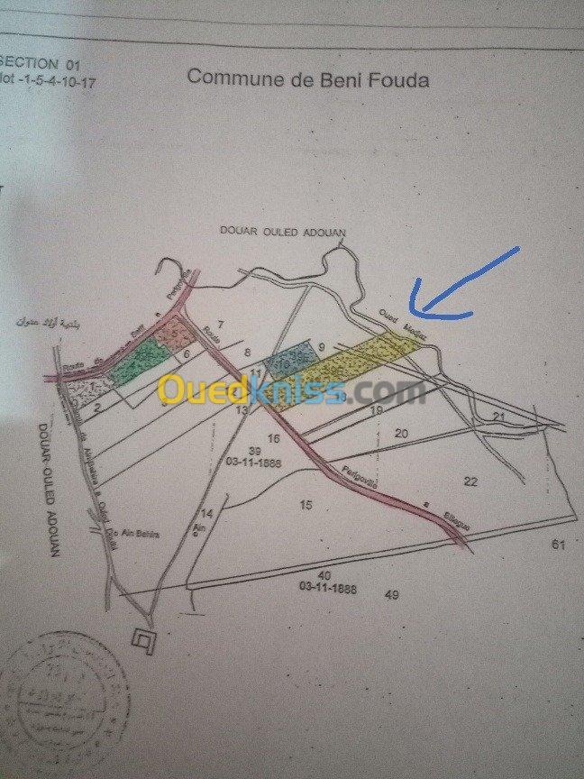 Vente Terrain Setif Beni fouda