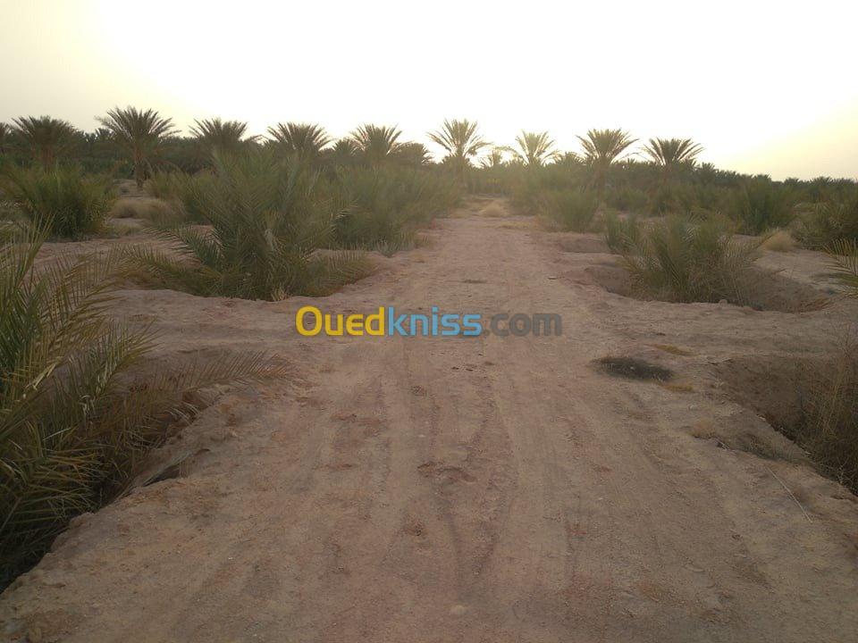 Vente Terrain Agricole Biskra Lioua