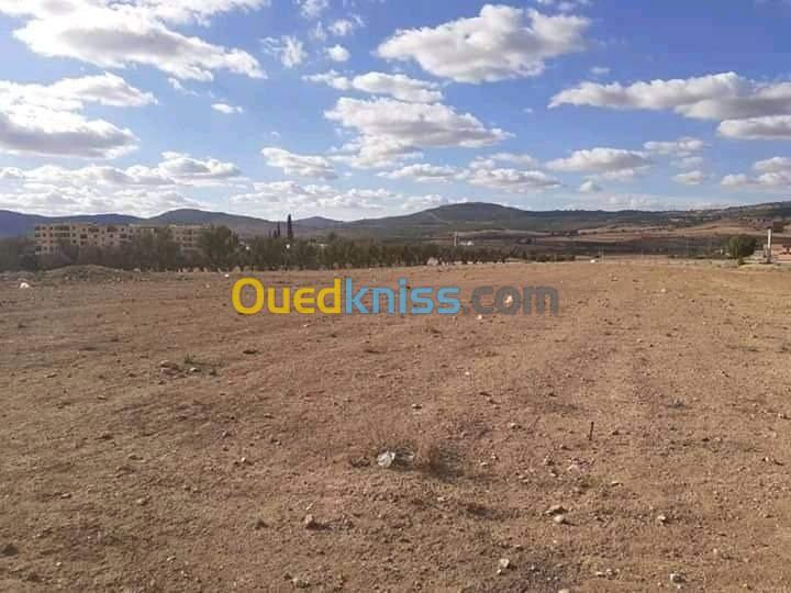 Vente Terrain Saida Ouled khaled