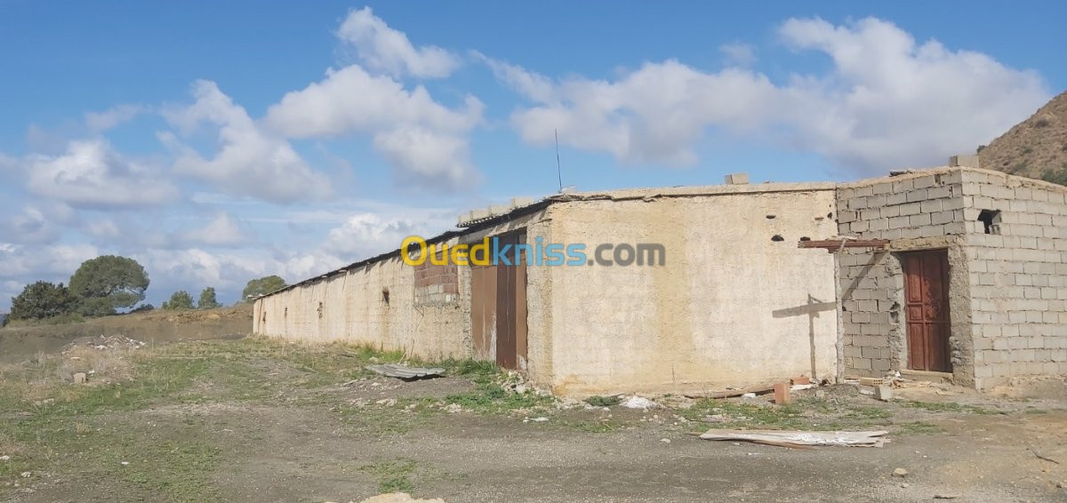 Vente Hangar Bejaia Boudjellil