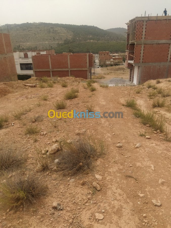 Vente Terrain Batna Batna