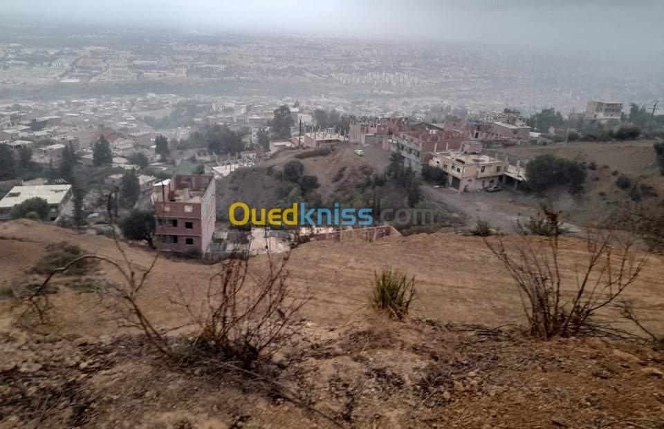 Vente Terrain Blida Bouarfa