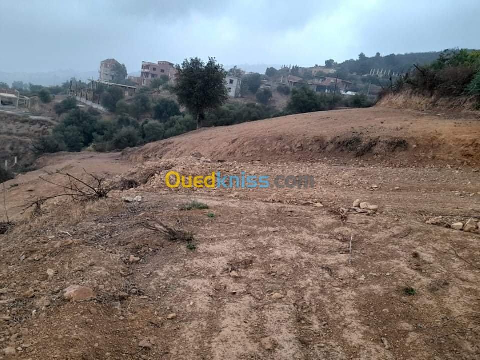 Vente Terrain Blida Bouarfa