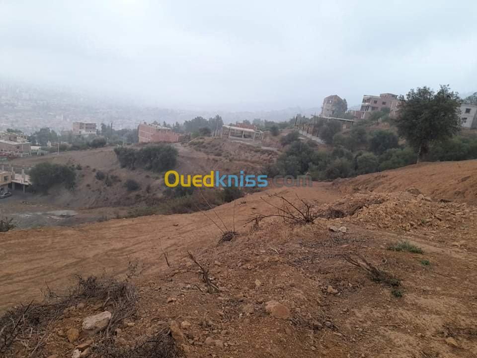 Vente Terrain Blida Bouarfa