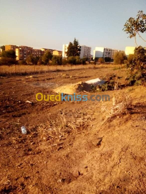 Vente Terrain Tipaza Ahmar el ain