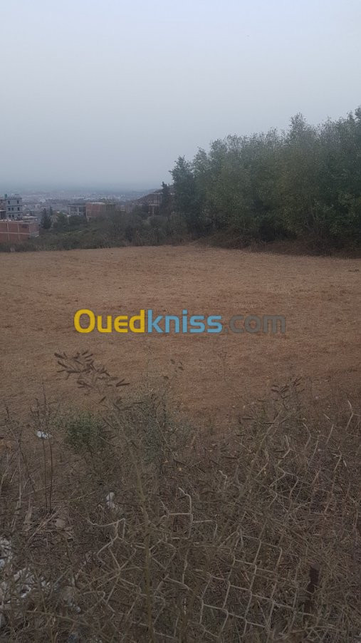 Vente Terrain Blida Sidi moussa