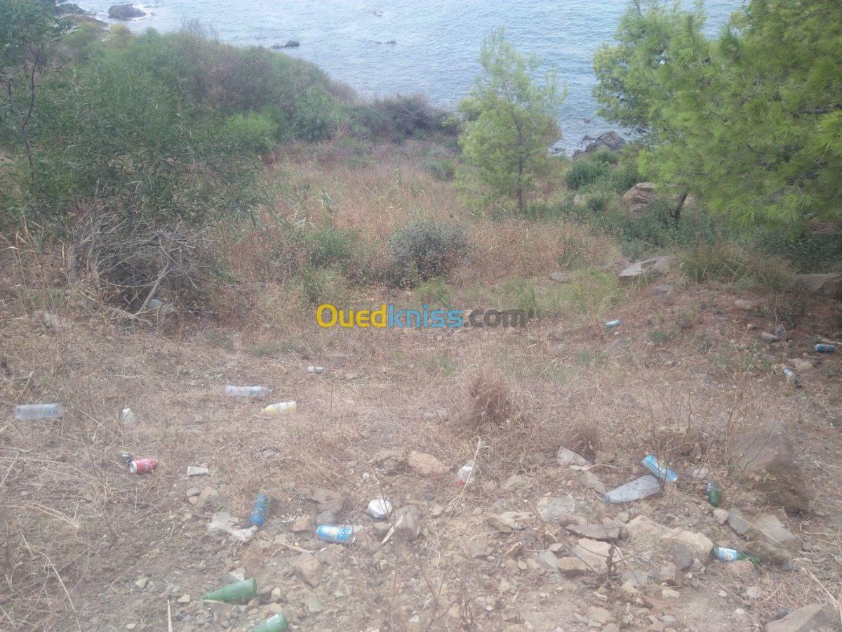 Vente Terrain Skikda El marsa