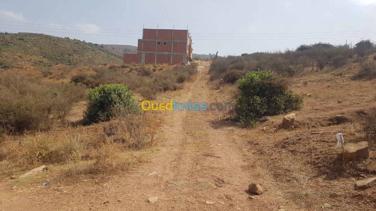 Vente Terrain Blida Bouinan