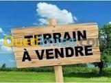 Vente Terrain Boumerdes Bordj menaiel