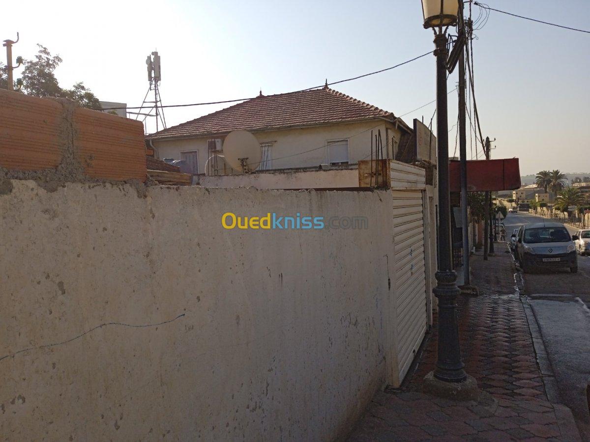 Vente Villa Alger Oued smar