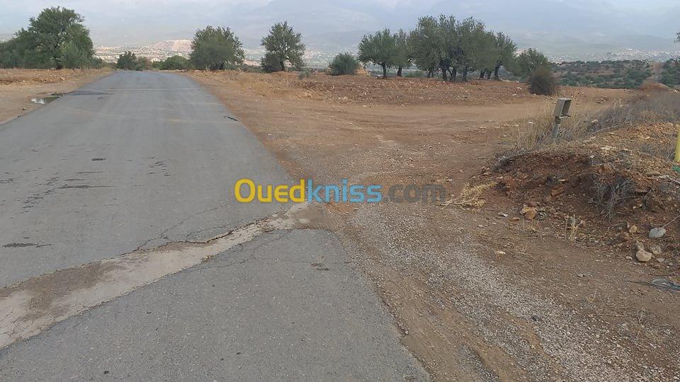 Vente Terrain Bouira El adjiba