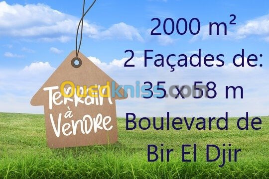 Vente Terrain Oran Bir el djir