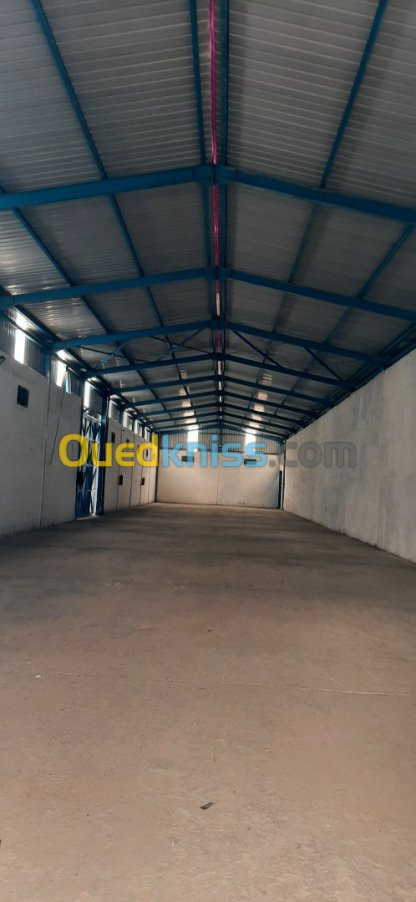 Location Hangar Annaba Ain berda