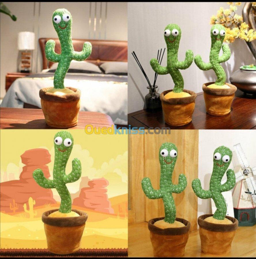 Cactus dansant 