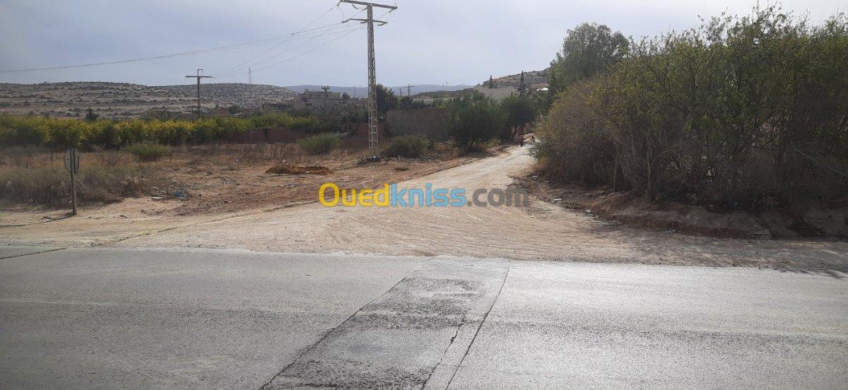 Vente Terrain Relizane Oued rhiou