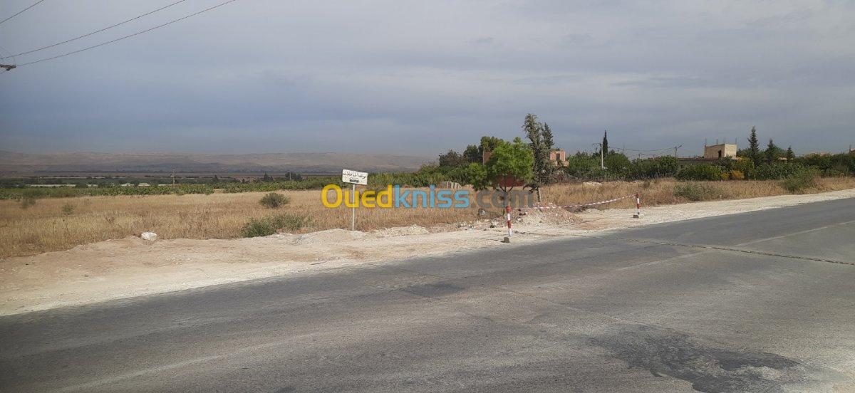 Vente Terrain Relizane Oued rhiou