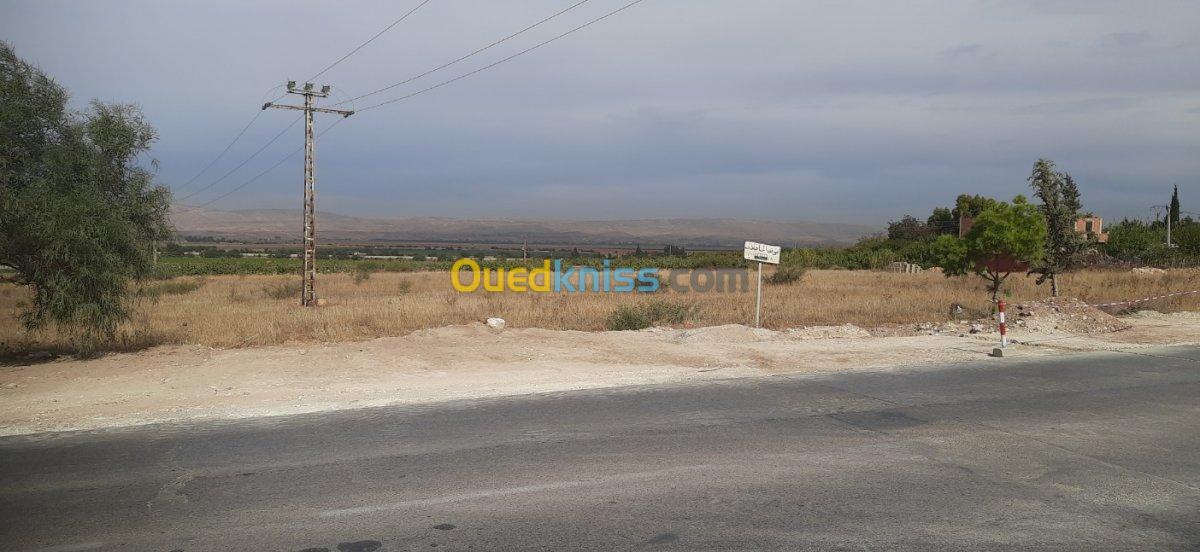 Vente Terrain Relizane Oued rhiou