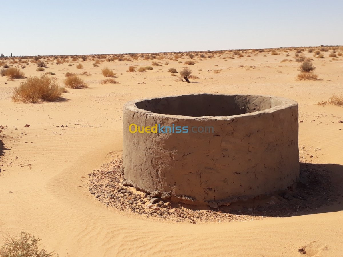 Vente Terrain Agricole Adrar Timimoun