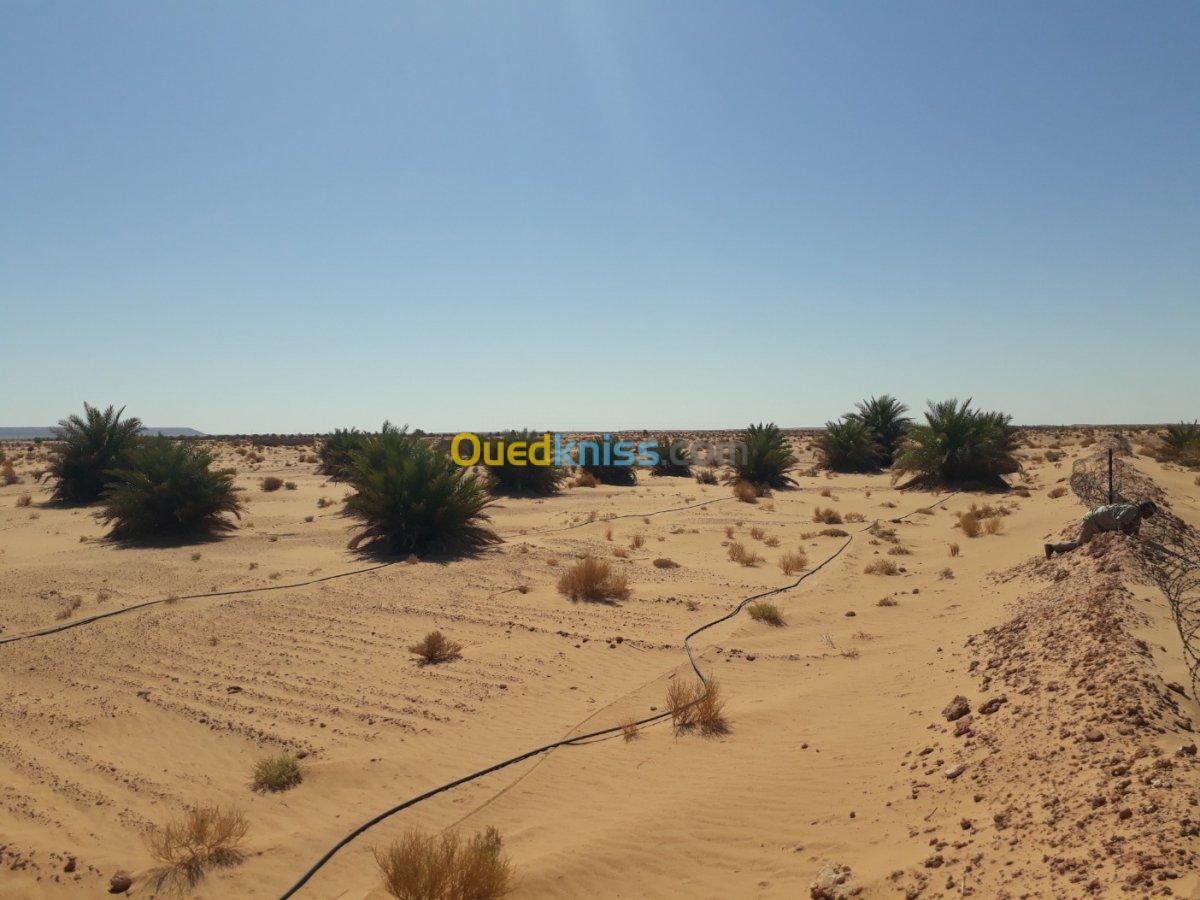 Vente Terrain Agricole Adrar Timimoun