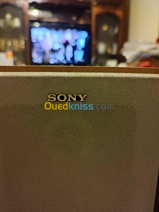 Enceinte Sony model SS CCP500 made cor