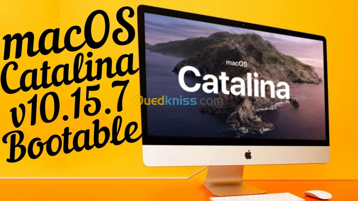 macOS Catalina sur Clé USB Bootable