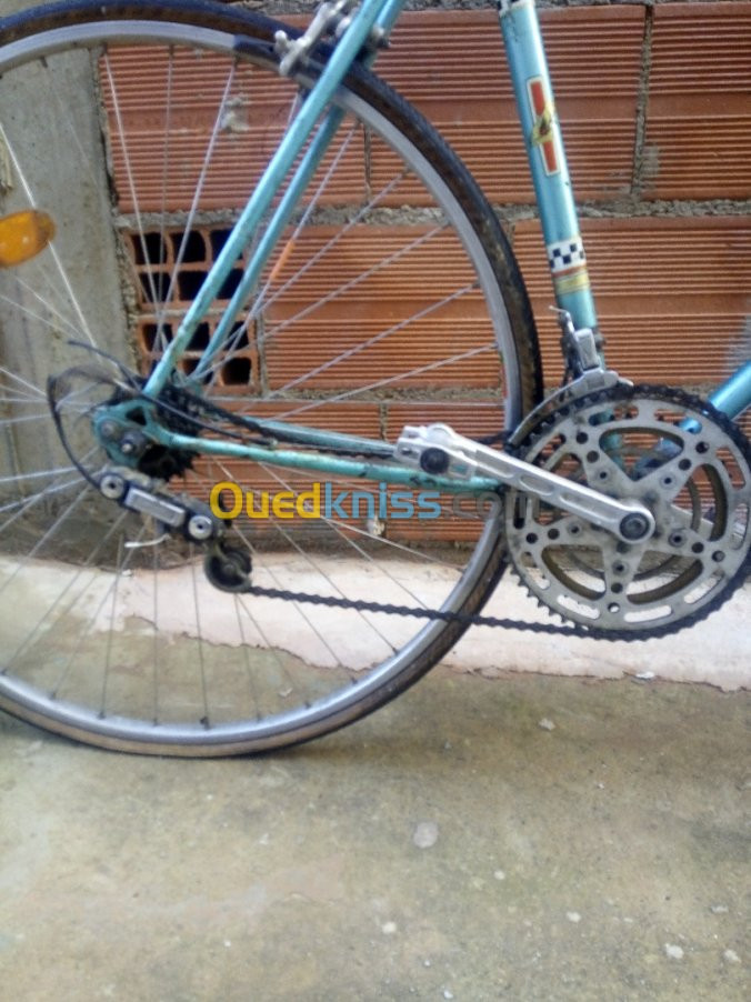 Ouedkniss discount velo peugeot