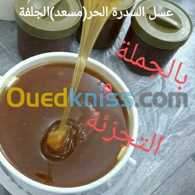 عسل السدرة الحر