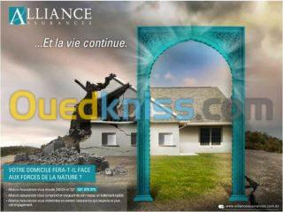 Assurance toutes branches 