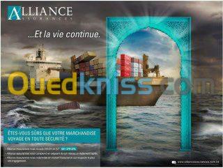 Assurance toutes branches 