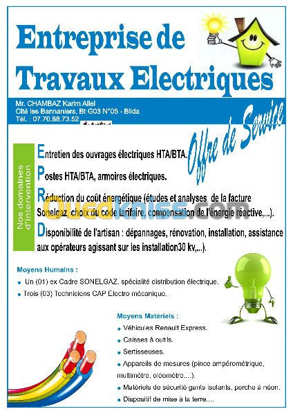 Entretien des ouvrages electriques