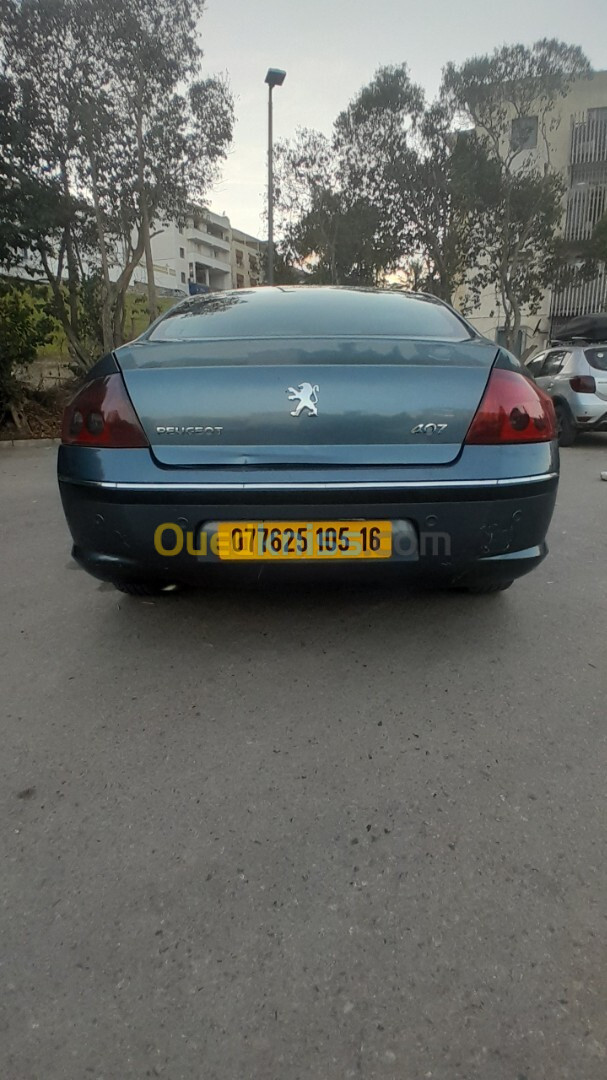 Peugeot 407 2005 407