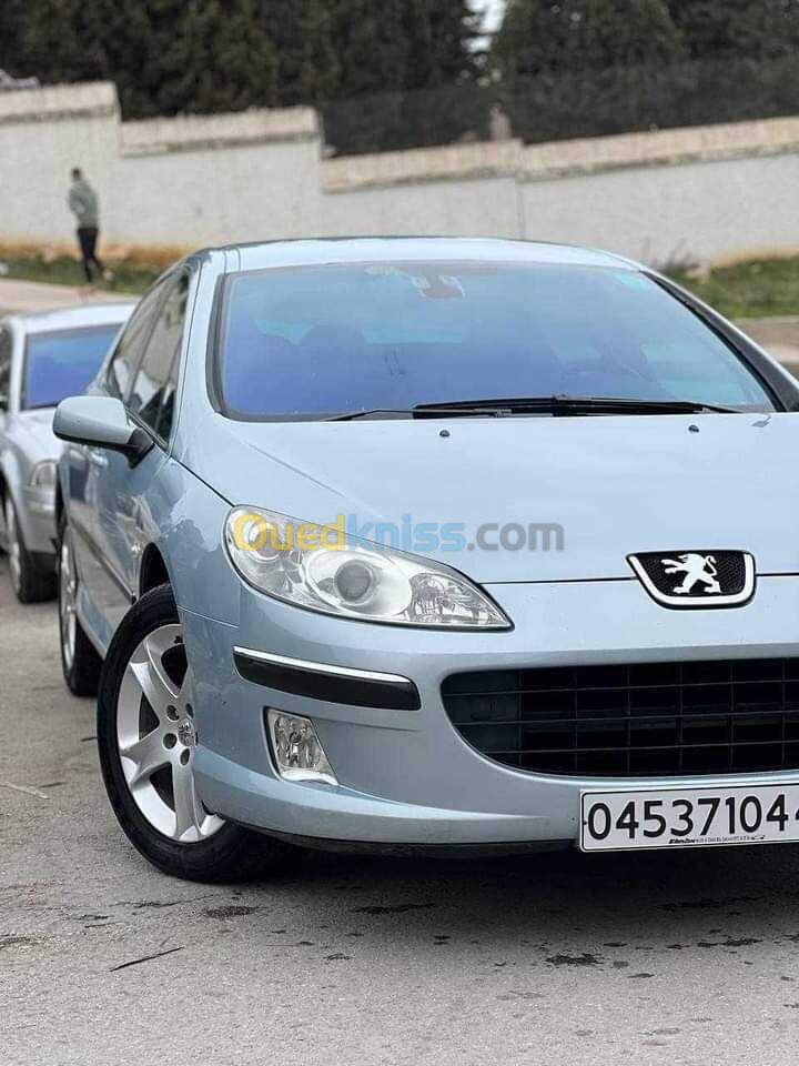 Peugeot 407 2004 407