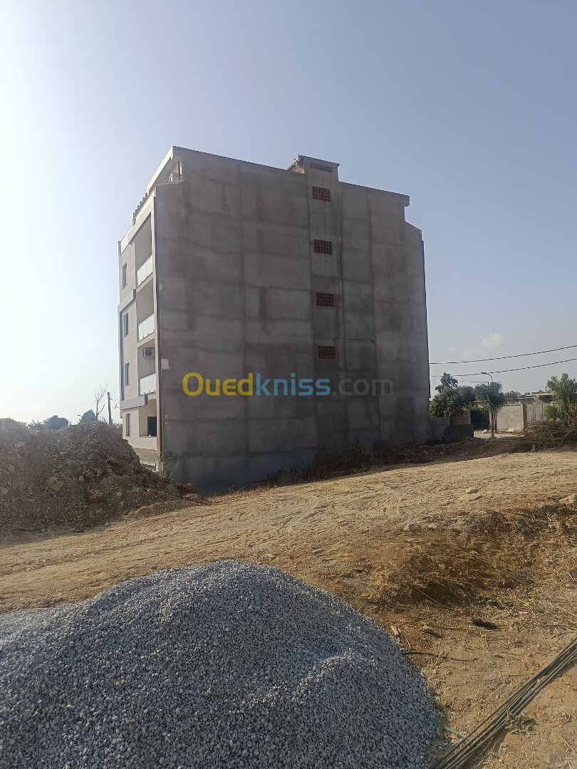 Vente Terrain Alger Souidania