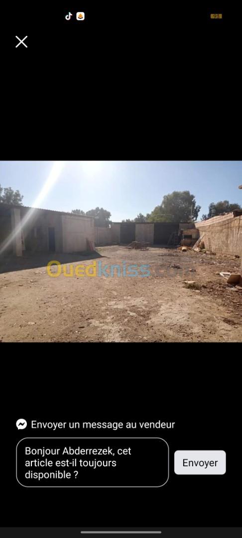 Location Hangar Chlef Oued fodda