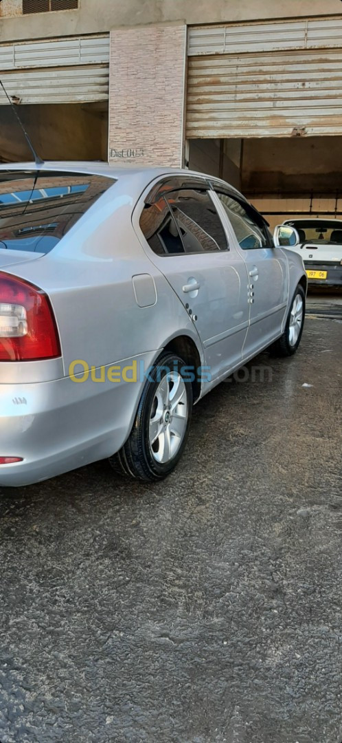 Skoda Octavia 2010 Octavia