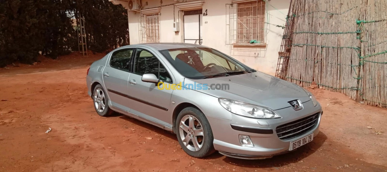 Peugeot 407 2004 407