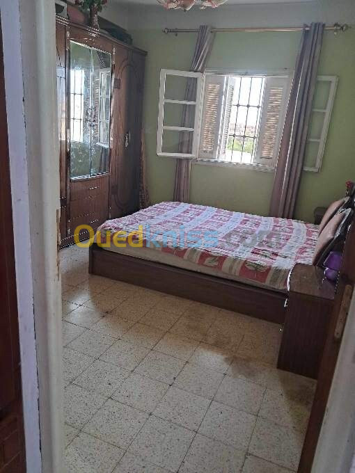 Vente Appartement F3 Chlef Ain merane