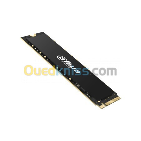 SSD NVME DAHUA C970 PLUS 1TB GEN4 PCIE 4.0 VITESSE 6290MB/s