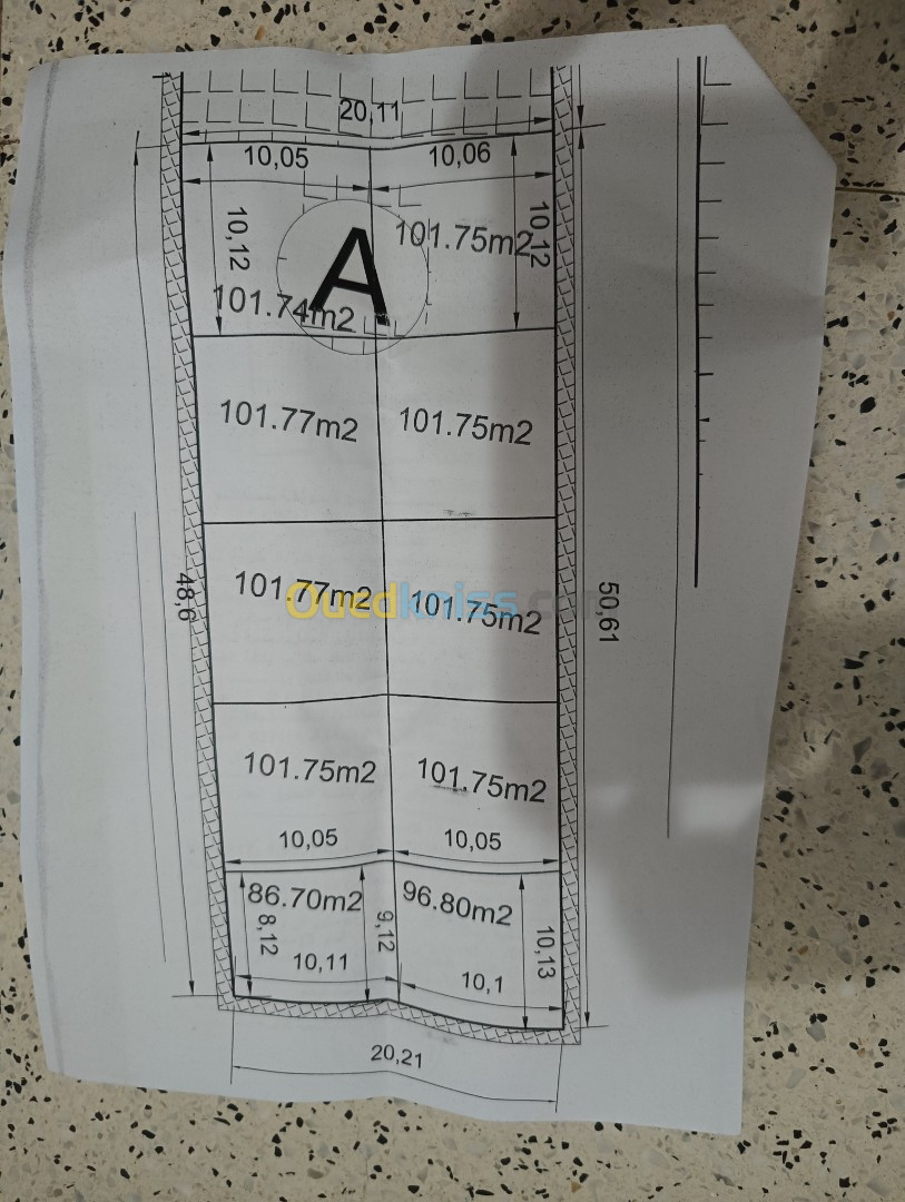 Vente Terrain Mostaganem Hassi maameche