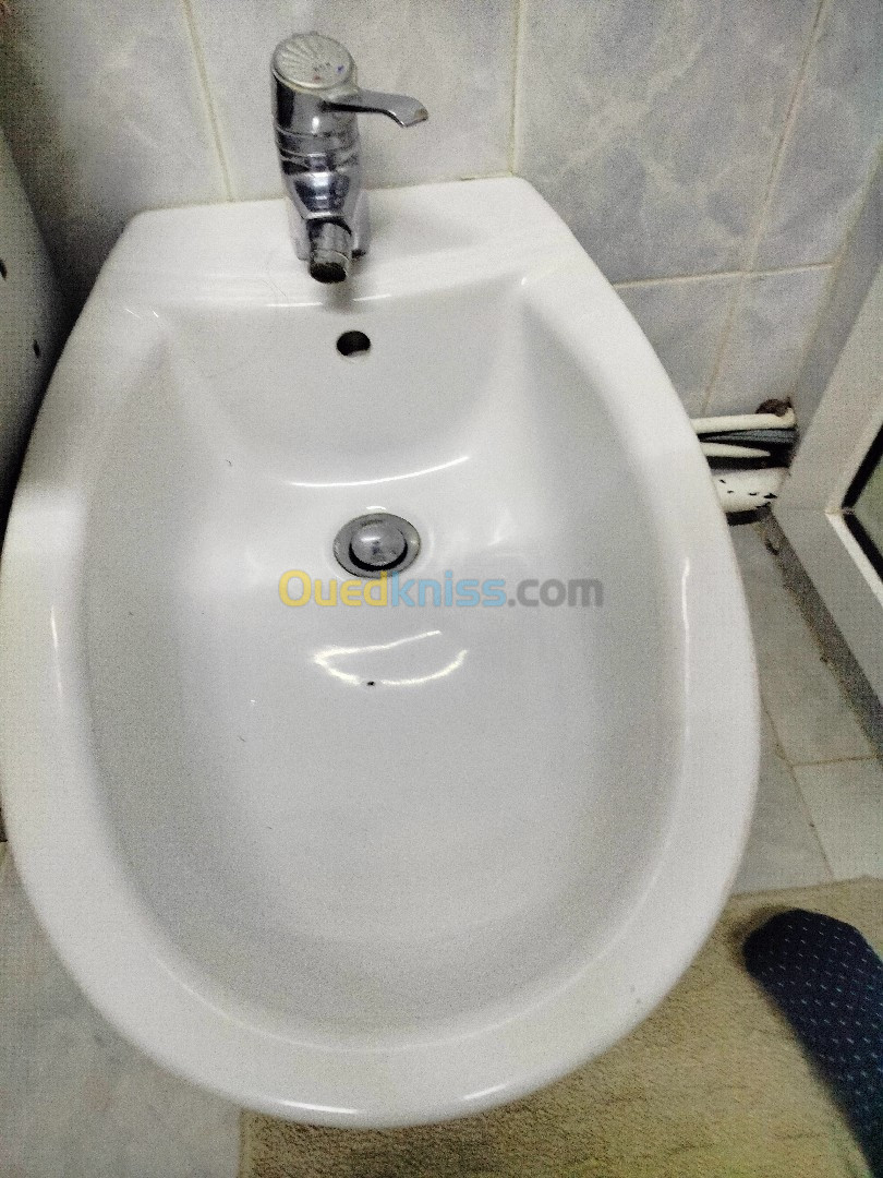 Baignoire Porcher et bidet (lave pied)