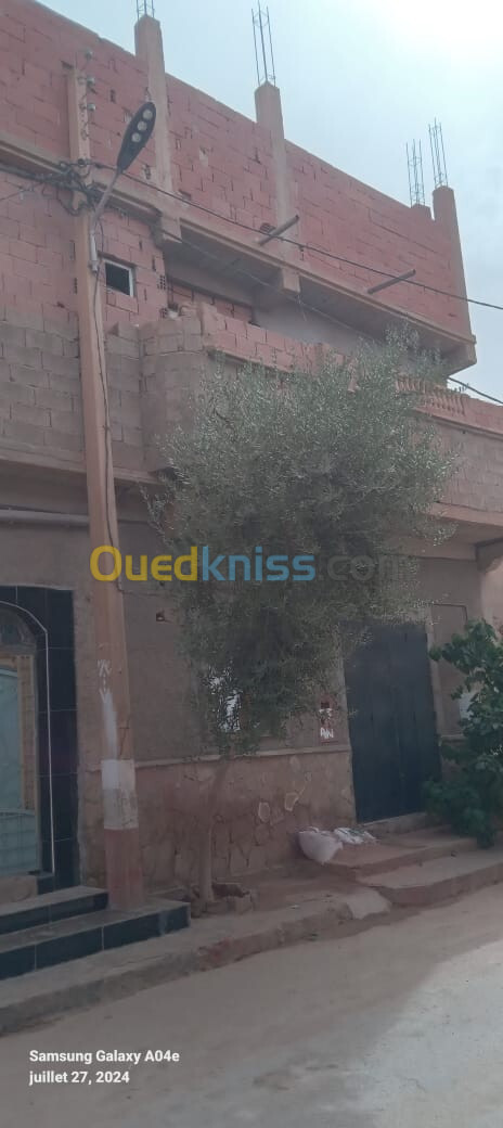 Vente Villa Djelfa Ain oussara