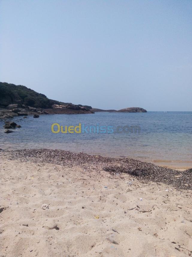 Location vacances Appartement F3 El taref El kala