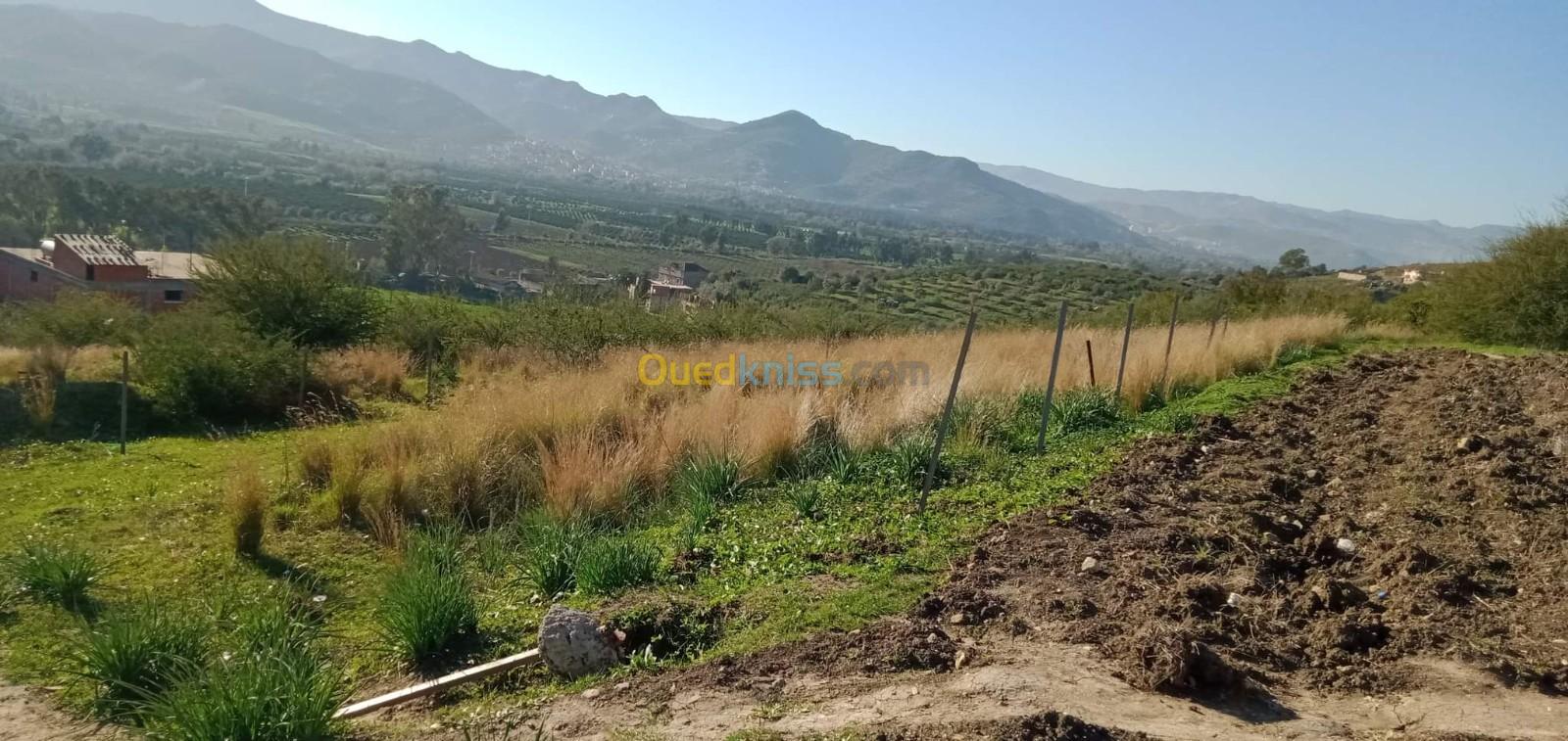 Vente Terrain Bejaia Oued ghir