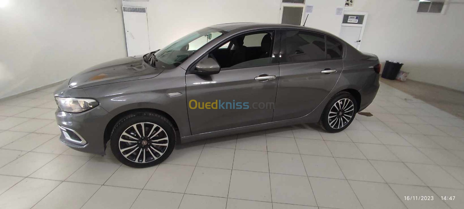 Fiat Tipo 2023 Live