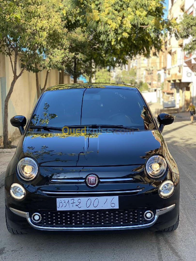 Fiat Fiat 500 2024 Dochivita