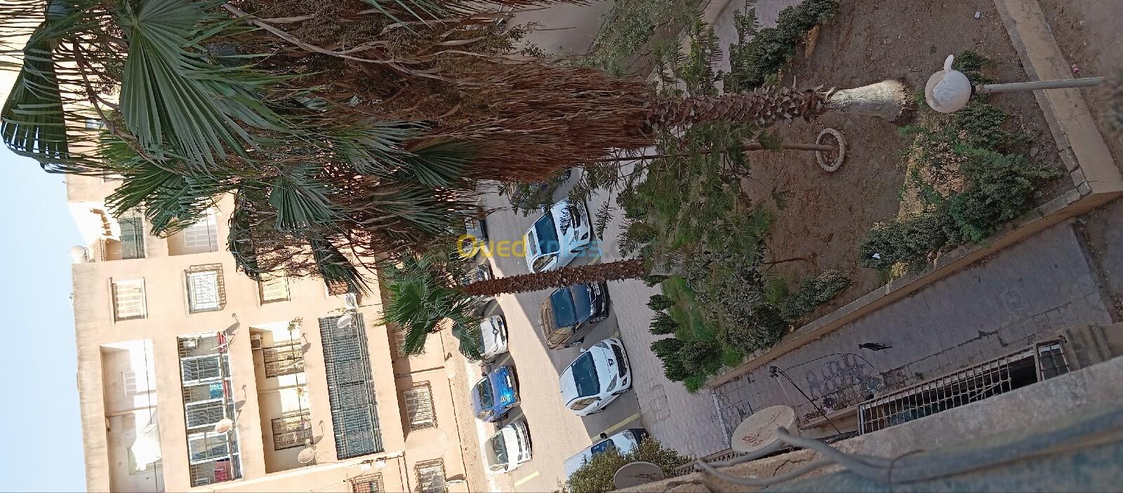 Vente Appartement F4 Blida Beni mered