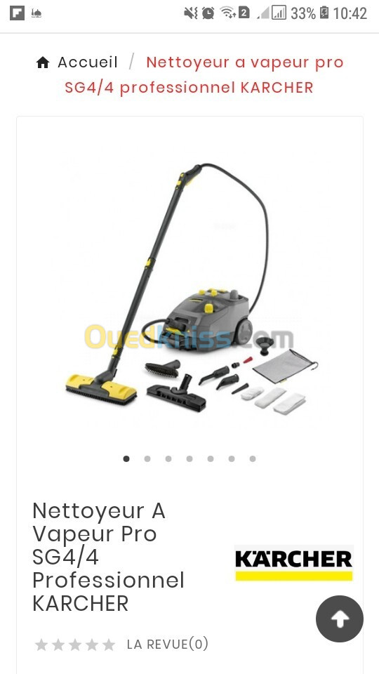 Nettoyer à vapeur professionnelle